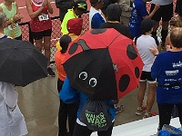 2016-08-16 Michigan State Olympics - Road Race 5K  2016-08-16 Michigan State Olympics - Road Race 5K : 5K, kasdorf, Michigan Senior Olympics, MSO, race, running